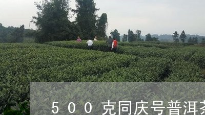 500克同庆号普洱茶/2023100898571