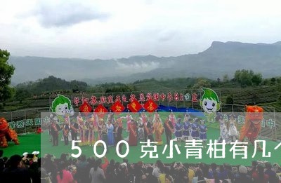 500克小青柑有几个/2023092125390