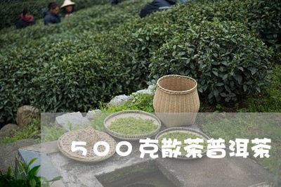 500克散茶普洱茶/2023120519504