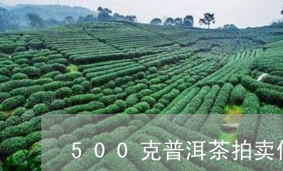 500克普洱茶拍卖价/2023100674149