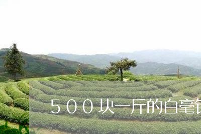 500块一斤的白毫银针/2023092391503