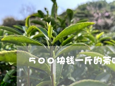 500块钱一斤的茶叶/2023061100381