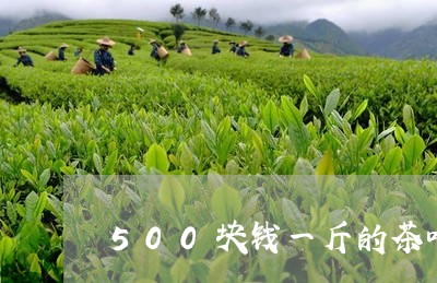 500块钱一斤的茶叶/2023092292846