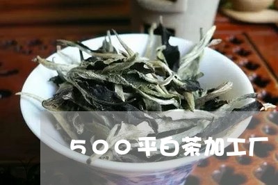 500平白茶加工厂/2023121578571