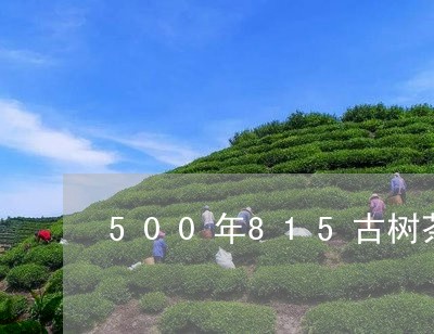 500年815古树茶价格/2023051256172