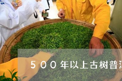 500年以上古树普洱茶/2023120787270