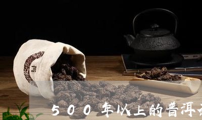 500年以上的普洱茶/2023080215068