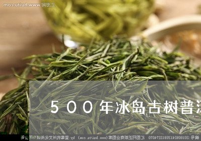 500年冰岛古树普洱茶/2023050512947