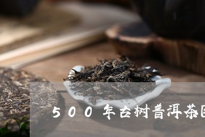 500年古树普洱茶图片/2023102522805