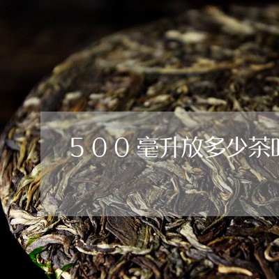 500毫升放多少茶叶/2023092277294