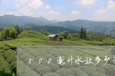 500毫升水放多少普洱茶/2023051088605