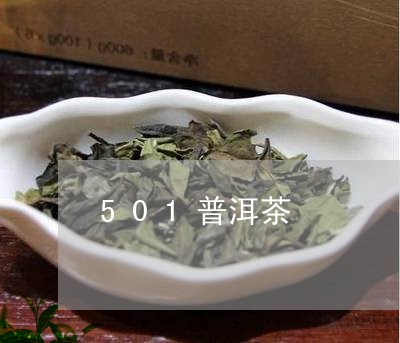 501普洱茶/2023042807132