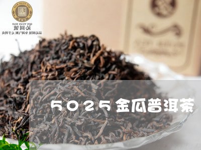 5025金瓜普洱茶/2023070993604