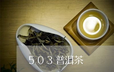 503普洱茶/2023042816358