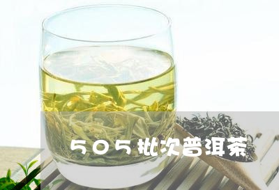 505批次普洱茶/2023082857583