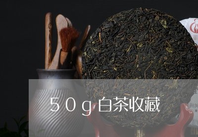 50g白茶收藏/2023111789370