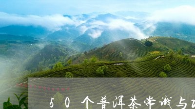 50个普洱茶常识与功效/2023050669695