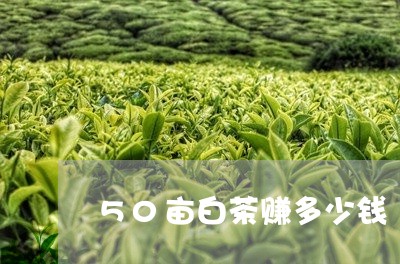 50亩白茶赚多少钱/2023071440695