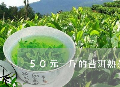 50元一斤的普洱熟茶/2023092402036