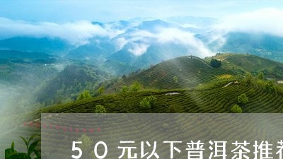 50元以下普洱茶推荐/2023062582717