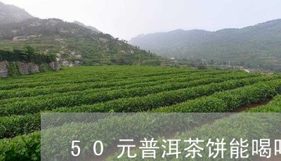 50元普洱茶饼能喝吗/2023092737271