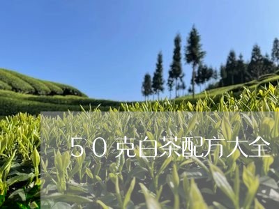 50克白茶配方大全/2023121520502