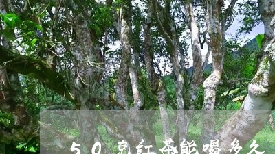 50克红茶能喝多久/2023042102828