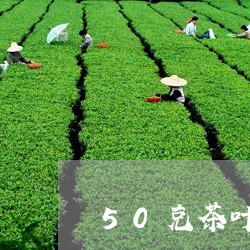 50克茶叶能喝几次/2023042507140