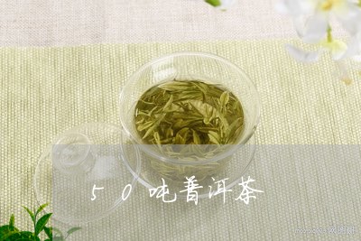 50吨普洱茶/2023042842020