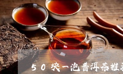 50块一泡普洱茶推荐/2023101701604