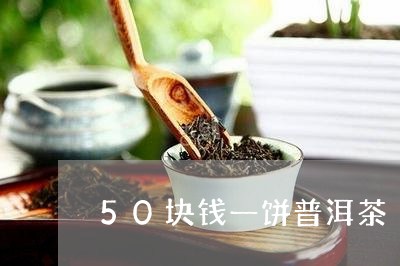 50块钱一饼普洱茶/2023112751504