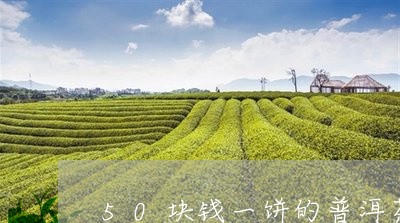 50块钱一饼的普洱茶/2023092601837