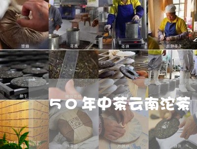 50年中茶云南沱茶/2023042564847