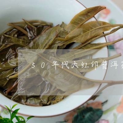 50年代大红印普洱茶/2023092893938