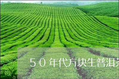 50年代方块生普洱茶/2023092879694