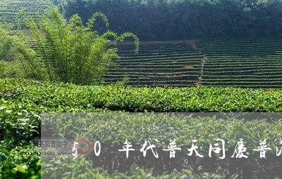 50年代普天同庆普洱茶/2023110598358