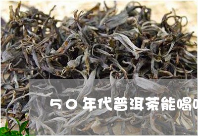 50年代普洱茶能喝吗/2023092642494