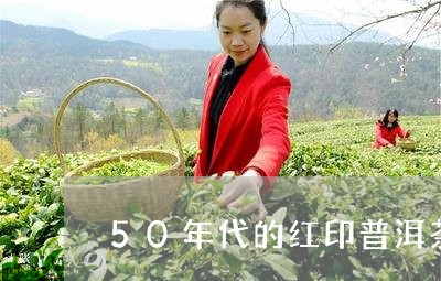 50年代的红印普洱茶/2023061542724