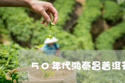 50年代鸿泰昌普洱茶/2023092696260