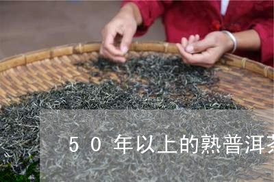 50年以上的熟普洱茶/2023110371503