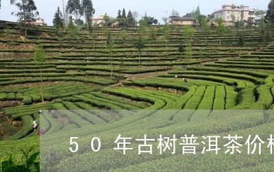 50年古树普洱茶价格/2023092882858