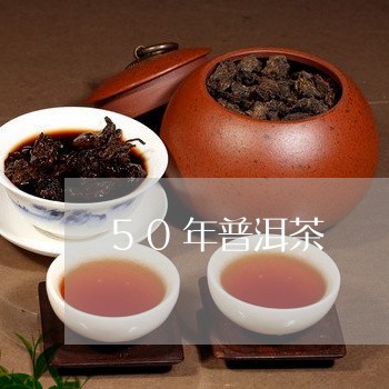 50年普洱茶/2023042960071