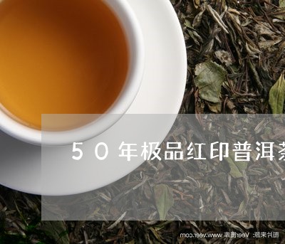 50年极品红印普洱茶/2023101785168