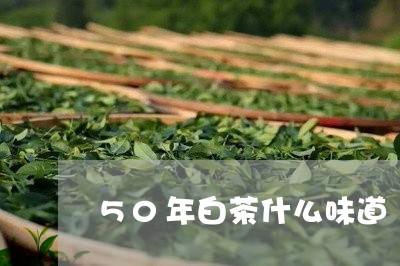 50年白茶什么味道/2023071420817