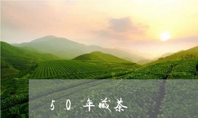 50年藏茶/2023090239814