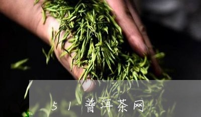 51普洱茶网/2023042986559