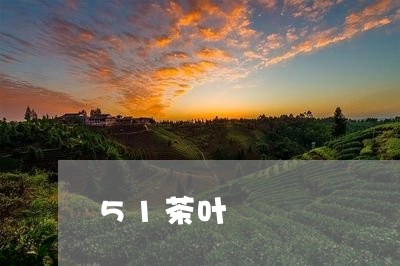 51茶叶/2023110841859