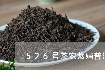 526号茶农紫娟普洱茶/2023081523725