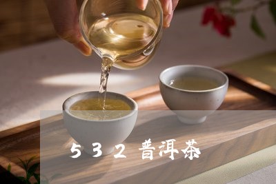 532普洱茶/2023042847123