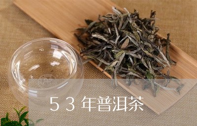 53年普洱茶/2023042702170